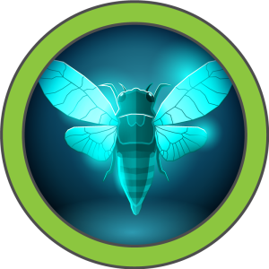 Cicada avatar
